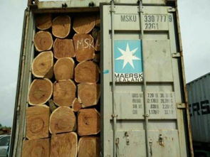 掘金非洲市場 進口木材與服裝服飾的雙輪驅動